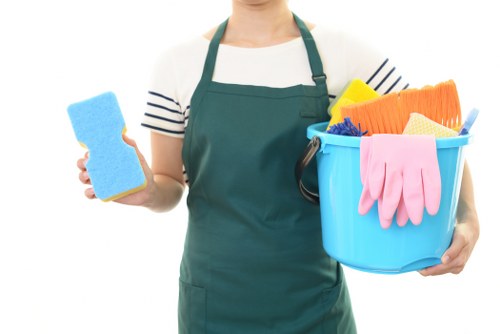 Professional pet stain odour removal in a Stoke Newington home