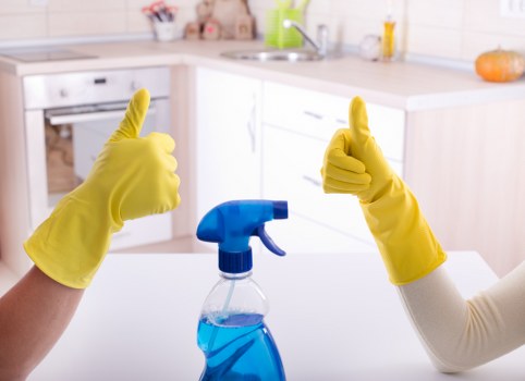 Professional carpet cleaning in a Stoke Newington living room