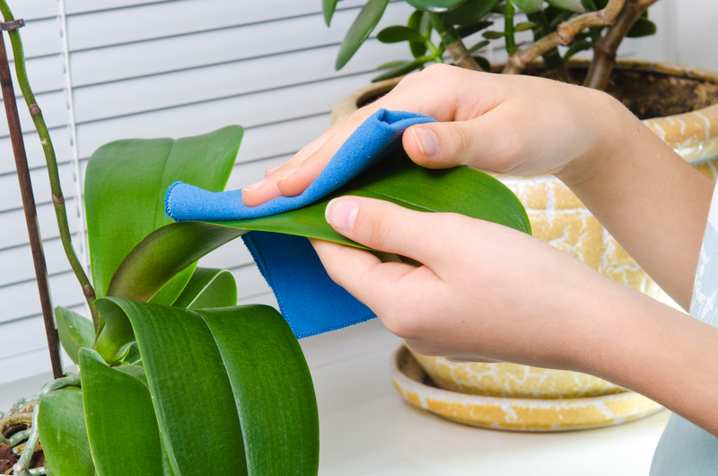 Curtain Care 101: Keeping Them Fresh and New