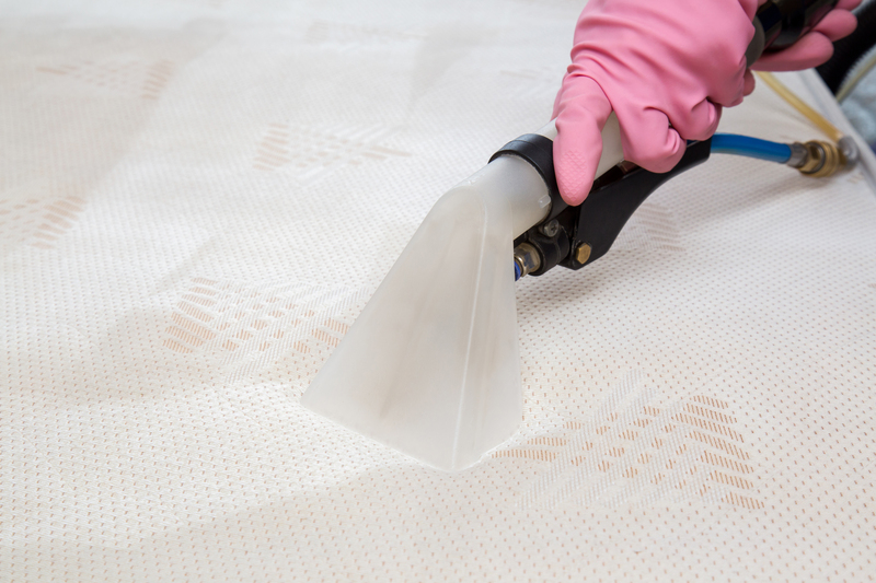 Effective Strategies for Cleaning Mould off Window Sills