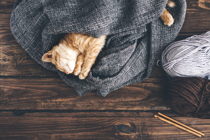 Maximize Your Deposit: An End of Tenancy Cleaning Blueprint for Tenants